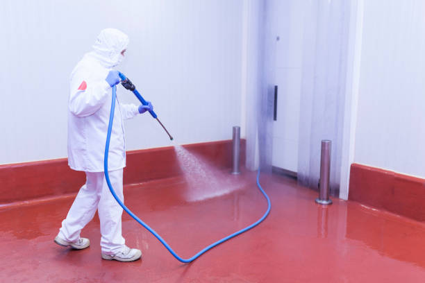 Best Solar Panel Cleaning  in Tyler, TX